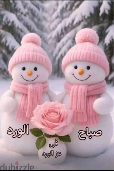 سامسونج ايه 6