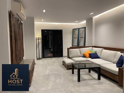 Rent apartment in Villette  fully furnished135m terrace 80m