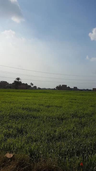 للبيع ارض زراعية قراطين الا ربع ٣١٠م في شرويدة - الزقازيق