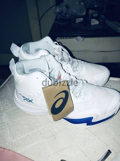 كوتش(ASICS NOVA SURGE 3)مقاس 43:42