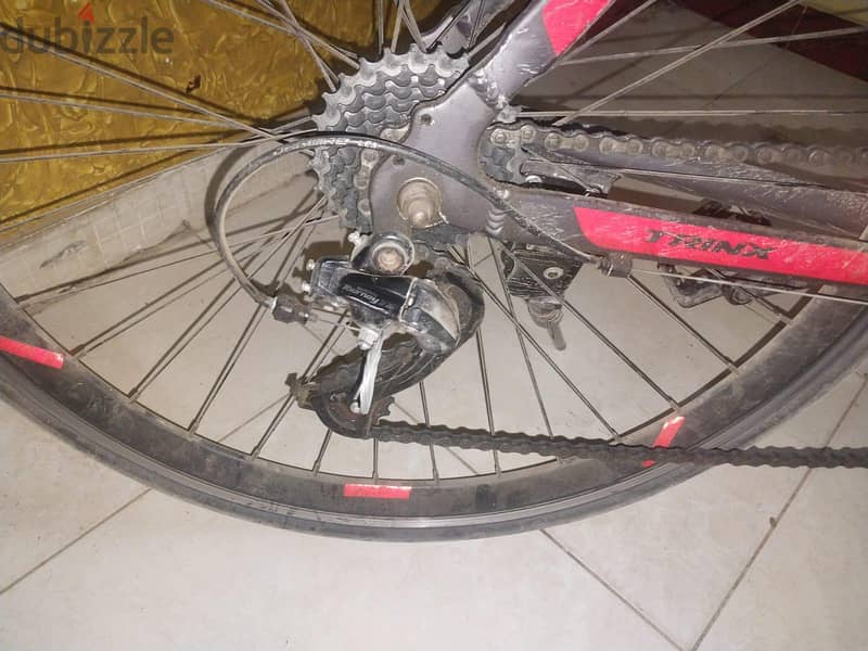 Trinx tempo 1.4 1