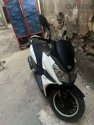 جيت ١٤ jet14