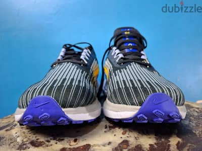 Nike winflo 9