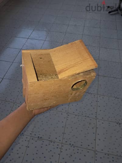 بيضات استرالي للبيع