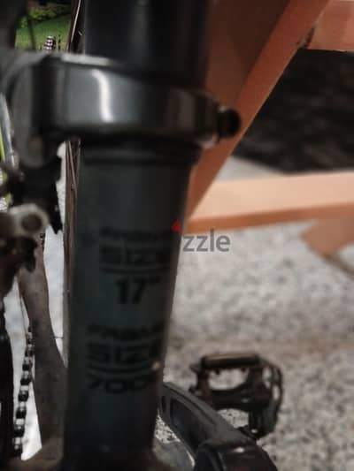 viva   frame size 17