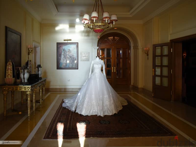 Luxurious Wedding Dress 4