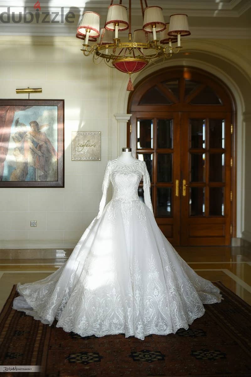 Luxurious Wedding Dress 11
