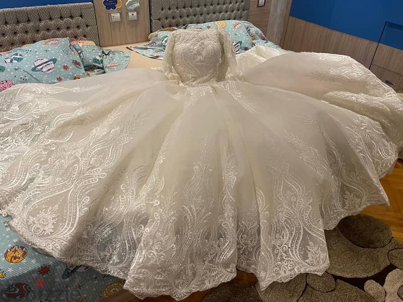 Luxurious Wedding Dress 13