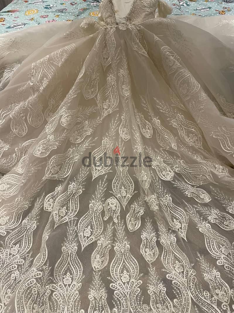 Luxurious Wedding Dress 14