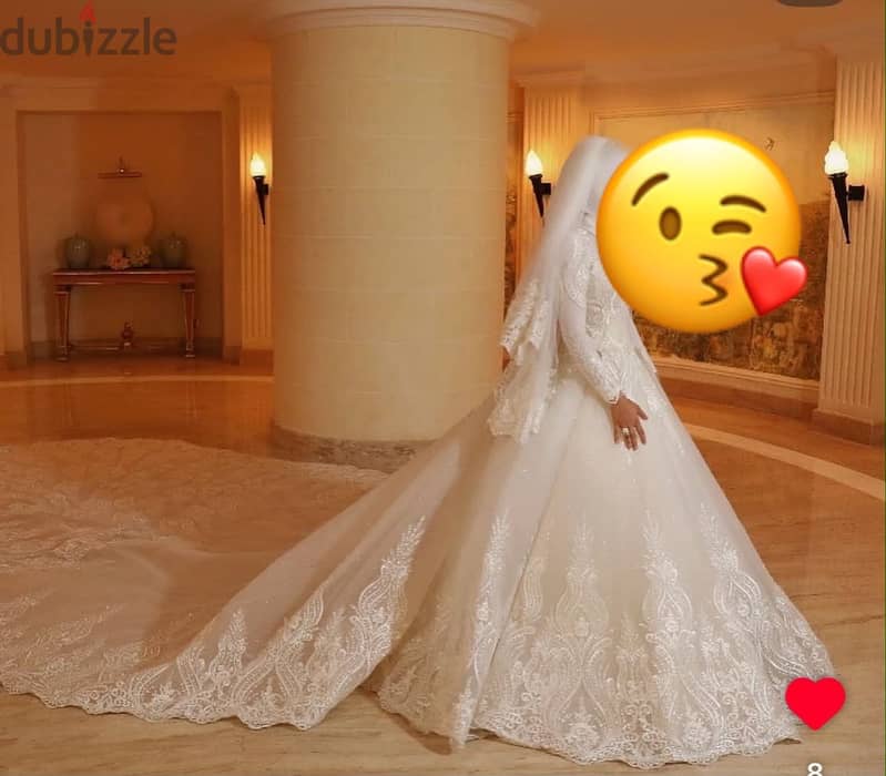 Luxurious Wedding Dress 19