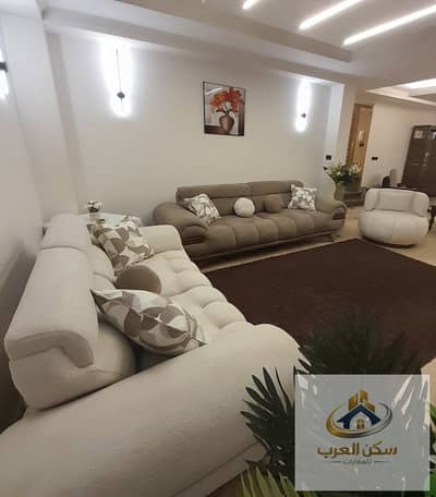 A wonderful furnished hotel-style apartment, 255 square meters, on Anwar El Mofty Street, first Abbas El Akkad, fully air-conditioned, sanitized, with free internet. Daily and monthly rentals available directly from the owner.