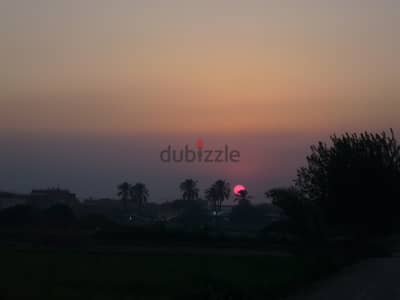 زجاج معشق