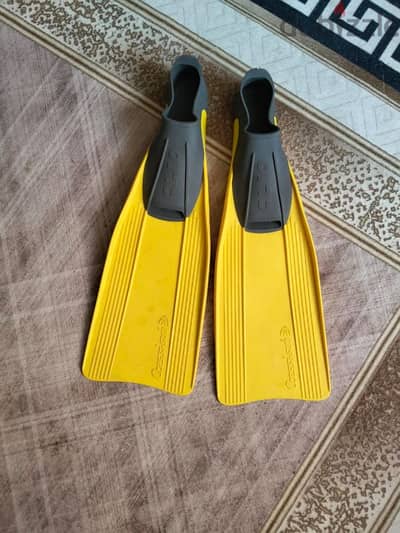 زعانف كليو ايطالى اصلى