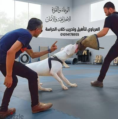 متخصصين تدريب كلاب الحراسة وكلاب البحث