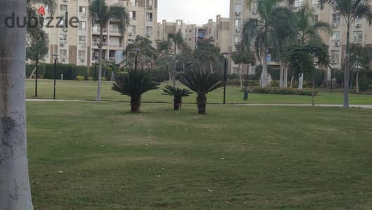 شقه للايجار ب3 على النادى وعلى وايد جاردن والخدمات