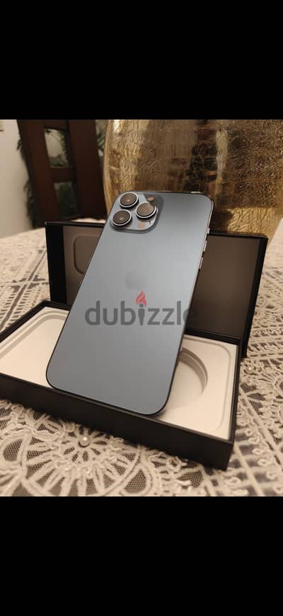 iPhone 13 Pro Max 256GB