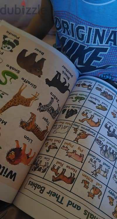 كتاب تأسيس وكتاب تعليم عن الاسلام وكتاب تلوين