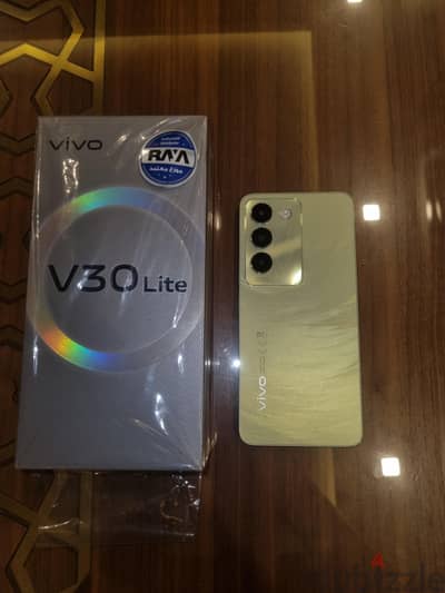 Vivo V30