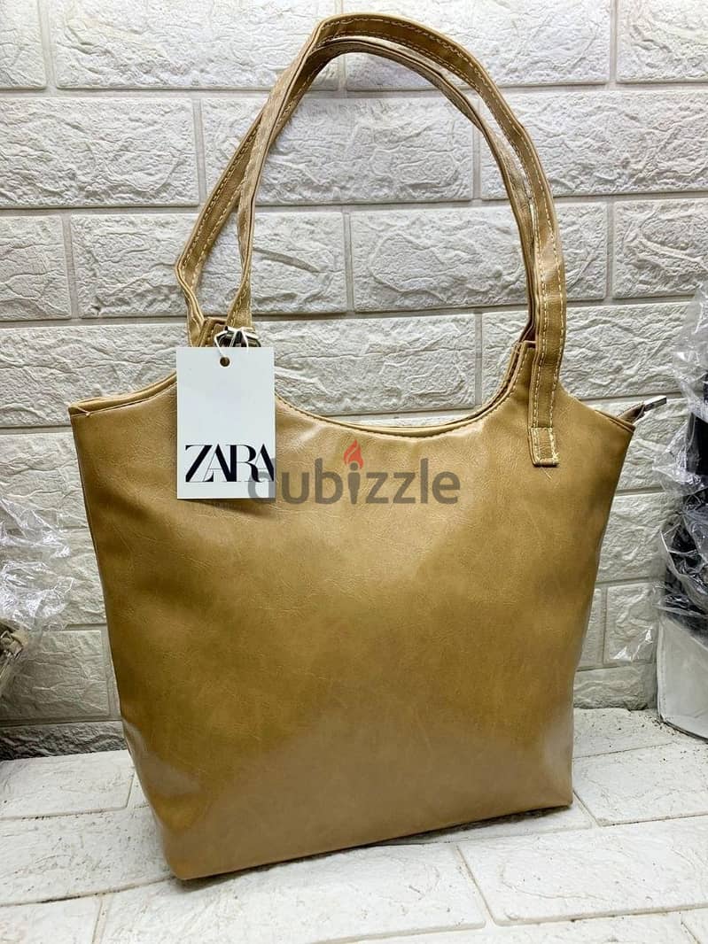 bagss 2