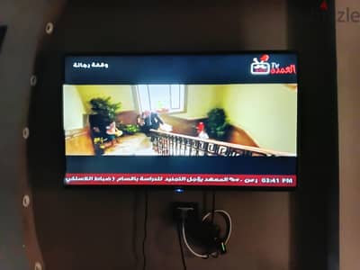 شاشه تورنيدو مقاس 43