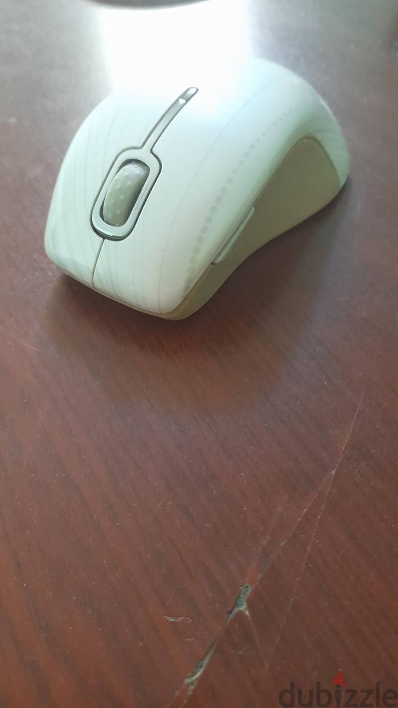 hp mouse 1