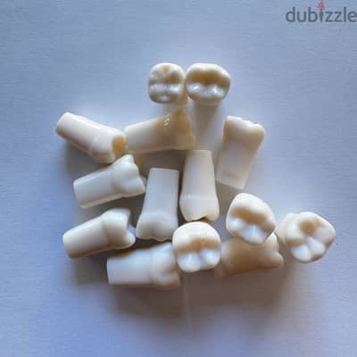 Original Nissin teeth available