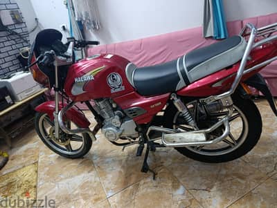 حلاوة تايجر