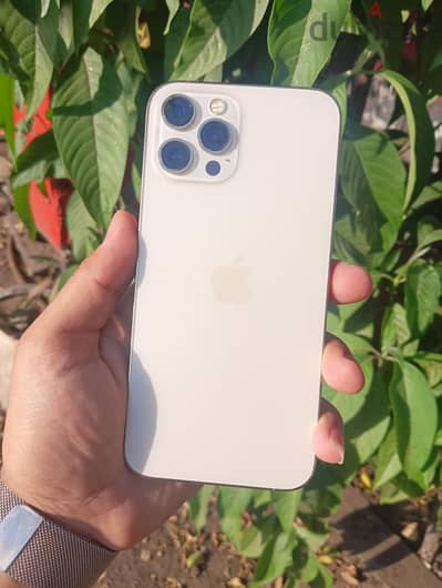 آبل - آيفون 12 برو ماكس
