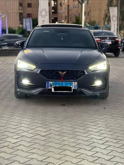 كوبرا ليون 2024