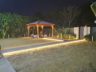 برجولة بيتش باين خشب مقاوم لظروف الطقس 4*4