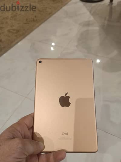 iPad mini Wi-Fi 64GB Gold 5th generation