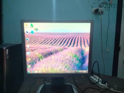 محافظة أسيوط  مركز صدفا