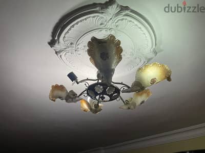 نجف للبيع