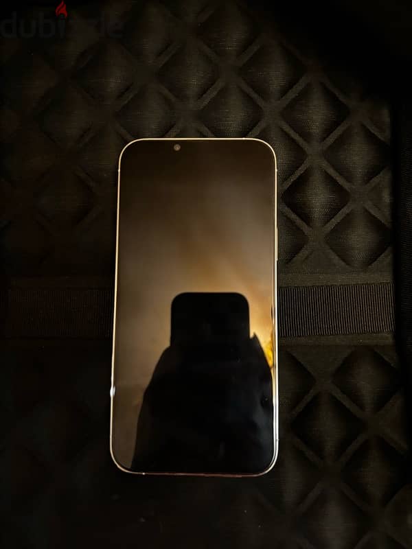 iphone 13 Pro Max 1