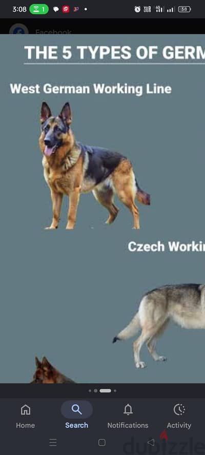 مطلوب جراوي جيرمن workline
