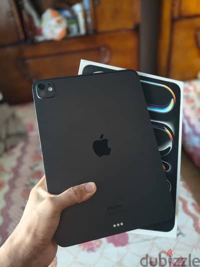 ipad pro m4 256gb wifi