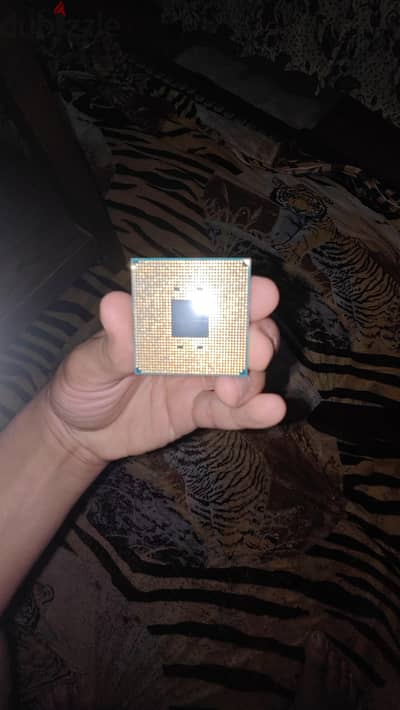 ryzen 5 5500