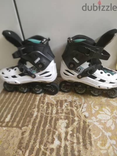 سكيت كوجر 509