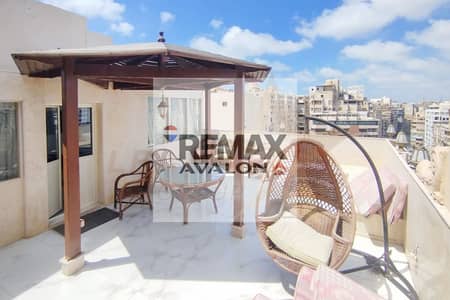 Apartment + Roof for rent furnished 100 m Mostafa Kamel (Abu Qir)