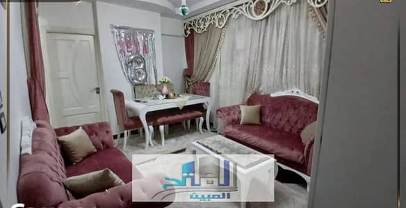 محمد نجيب