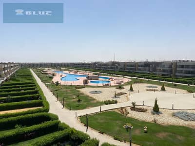 Ground floor chalet with garden in front of the pool for rent – ​​Blumar Sokhna
