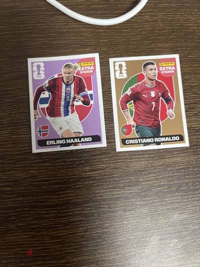 Fifa world cup 2026 panini sticker