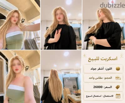 بورك جولد اشقر. ٩٠ سم