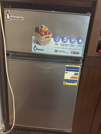 FG200 penguin ميني بار
