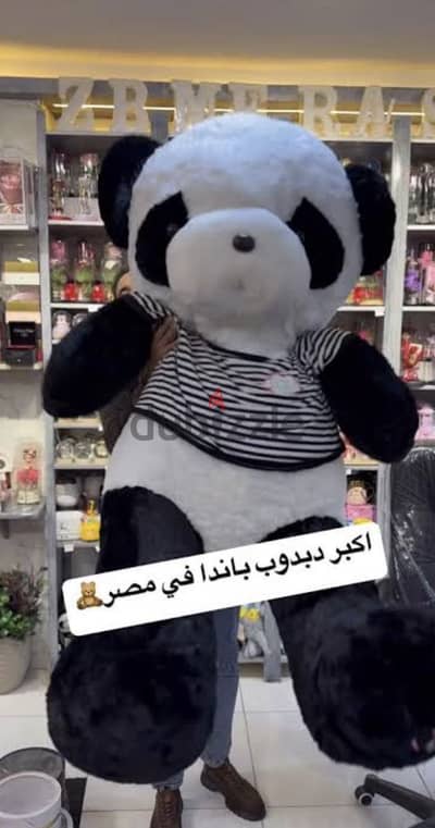 اكبر دبدوب باندا ف مصر