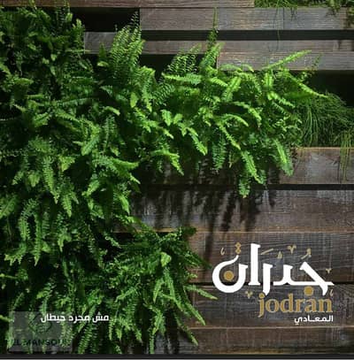 شقة بجاردن استلام فورى فى زهراء المعادى