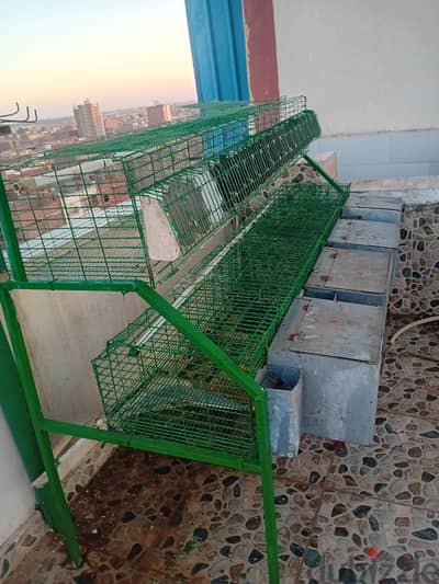 بطارية أرانب
