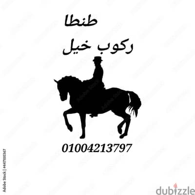 طنطا ركوب خيل و تعليم فروسية