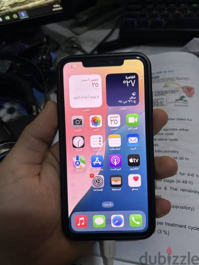 iPhone XS Max 256