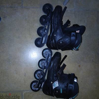 Cougar Skate 509